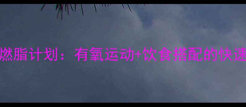 图片 30天高效燃脂计划：有氧运动+饮食搭配的快速减肥攻略