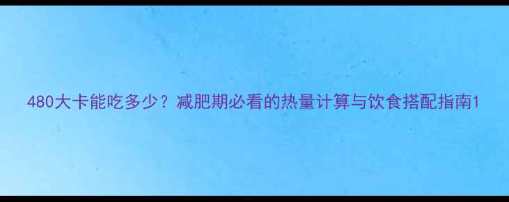 图片 480大卡能吃多少？减肥期必看的热量计算与饮食搭配指南1