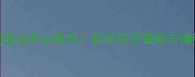 图片 减脂期间流失多少肌肉？科学应对策略与增肌技巧全