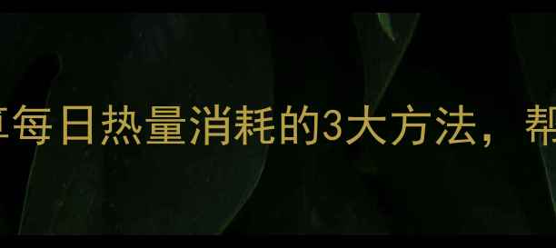 图片 在家减肥必看！科学计算每日热量消耗的3大方法，帮你精准管理卡路里摄入1
