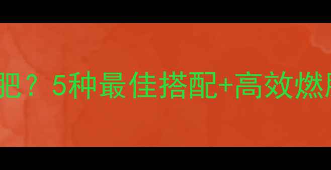 图片 女生和女生如何运动减肥？5种最佳搭配+高效燃脂计划，打造完美身材1