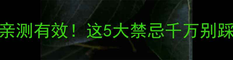 图片 懒人糖减肥药亲测有效！这5大禁忌千万别踩雷｜避坑指南