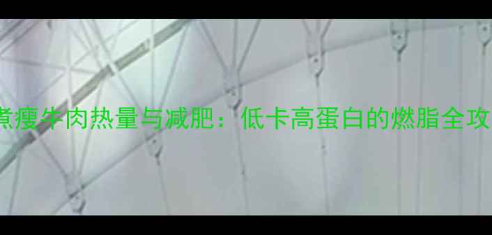 图片 水煮瘦牛肉热量与减肥：低卡高蛋白的燃脂全攻略2