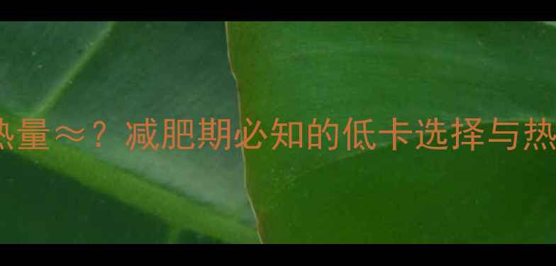 图片 燕麦巧克力热量≈？减肥期必知的低卡选择与热量控制法则2