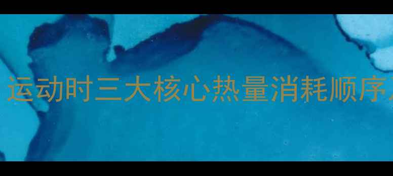 图片 科学减脂必看！运动时三大核心热量消耗顺序及高效训练方案
