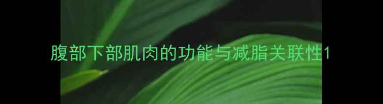 图片 腹部下部肌肉的功能与减脂关联性1
