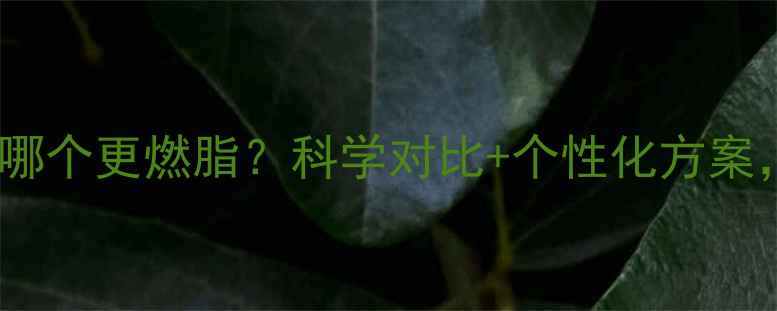 图片 饭前运动vs饭后运动哪个更燃脂？科学对比+个性化方案，帮你选对黄金时间2