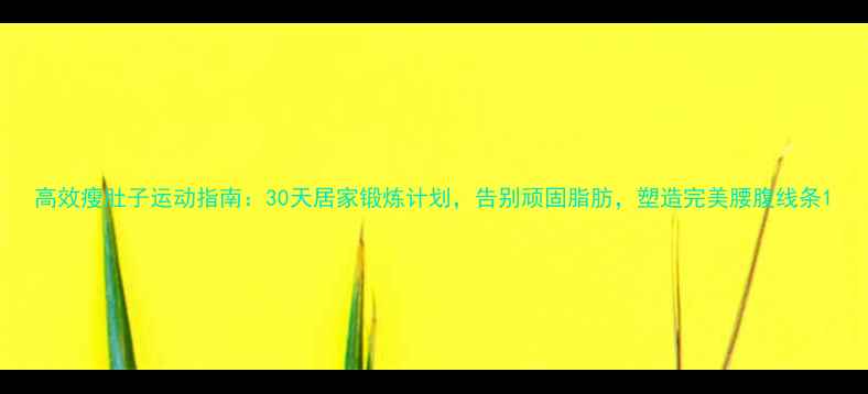 图片 高效瘦肚子运动指南：30天居家锻炼计划，告别顽固脂肪，塑造完美腰腹线条1