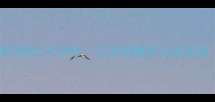 图片 🔥在家瘦肚子最有效的5个动作｜无器械腹肌训练指南（附跟练计划）2